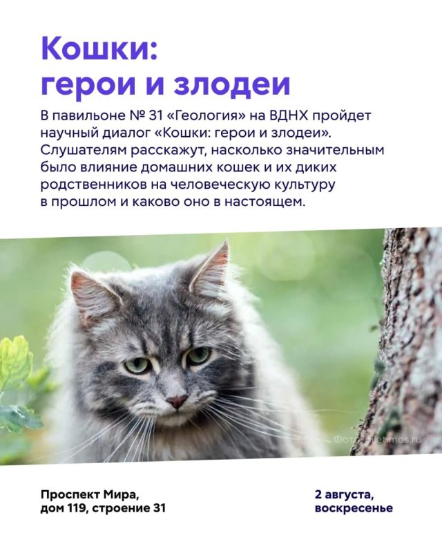 Куда сходить в Москве в эти выходные? Куда сходить в Москве в эти выходные?