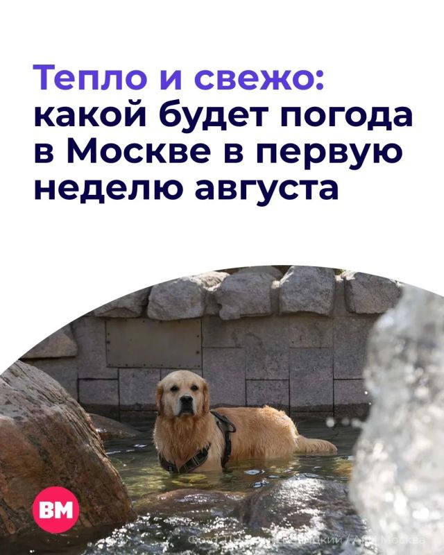 Первая неделя августа дарит столице по-настоящему летнюю погоду