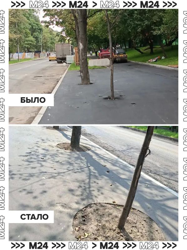 Жители 3й Парковой улицы впали в лёгкий шок, когда увидели закатанные в асфальт стволы деревьев Жители 3й Парковой улицы впали в лёгкий шок, когда увидели закатанные в асфальт стволы деревьев