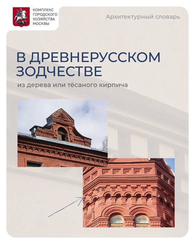 ГДЕ В МОСКВЕ НАЙТИ СУХАРИКИ? ГДЕ В МОСКВЕ НАЙТИ СУХАРИКИ?