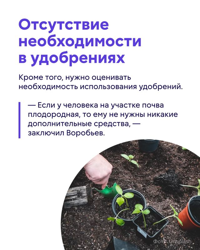 Удобрения помогают обеспечить как садовые, так и комнатные растения необходимыми питательными веществами Удобрения помогают обеспечить как садовые, так и комнатные растения необходимыми питательными веществами