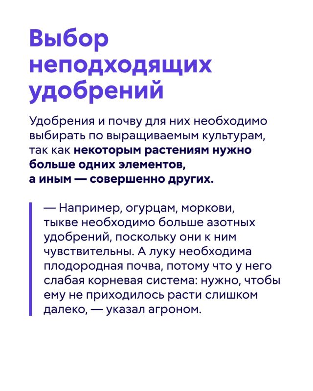 Удобрения помогают обеспечить как садовые, так и комнатные растения необходимыми питательными веществами Удобрения помогают обеспечить как садовые, так и комнатные растения необходимыми питательными веществами