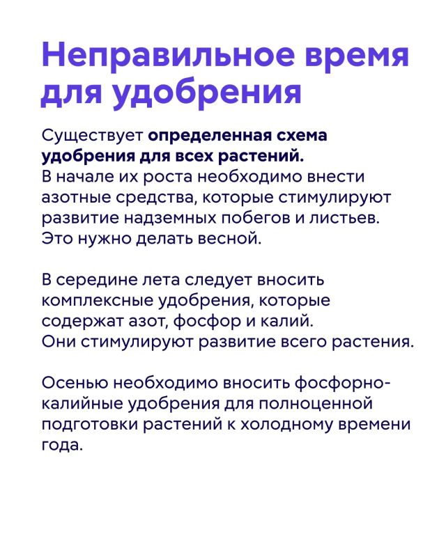 Удобрения помогают обеспечить как садовые, так и комнатные растения необходимыми питательными веществами Удобрения помогают обеспечить как садовые, так и комнатные растения необходимыми питательными веществами