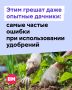 Удобрения помогают обеспечить как садовые, так и комнатные растения необходимыми питательными веществами