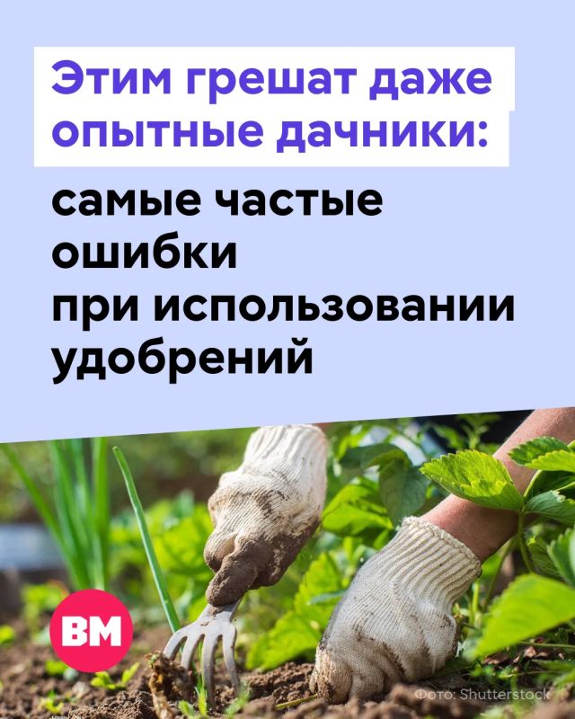 Удобрения помогают обеспечить как садовые, так и комнатные растения необходимыми питательными веществами