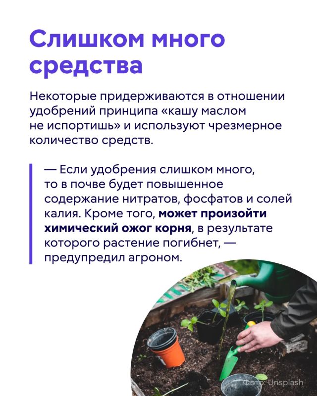 Удобрения помогают обеспечить как садовые, так и комнатные растения необходимыми питательными веществами Удобрения помогают обеспечить как садовые, так и комнатные растения необходимыми питательными веществами