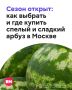 Первые арбузы уже появились на московских ярмарках и в магазинах!