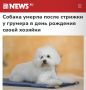 ������� ������ ����� ������� � ������� � ���� �������� ����� �������: � ��� �������� ���� ������ ��-�� ������������ ��� ������