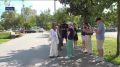 А в завершение выпуска -- история спасения шести маленьких и беззащитных щенков в Москве