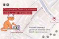 Открываем своё поп-ап-пространство на Большой Никитской