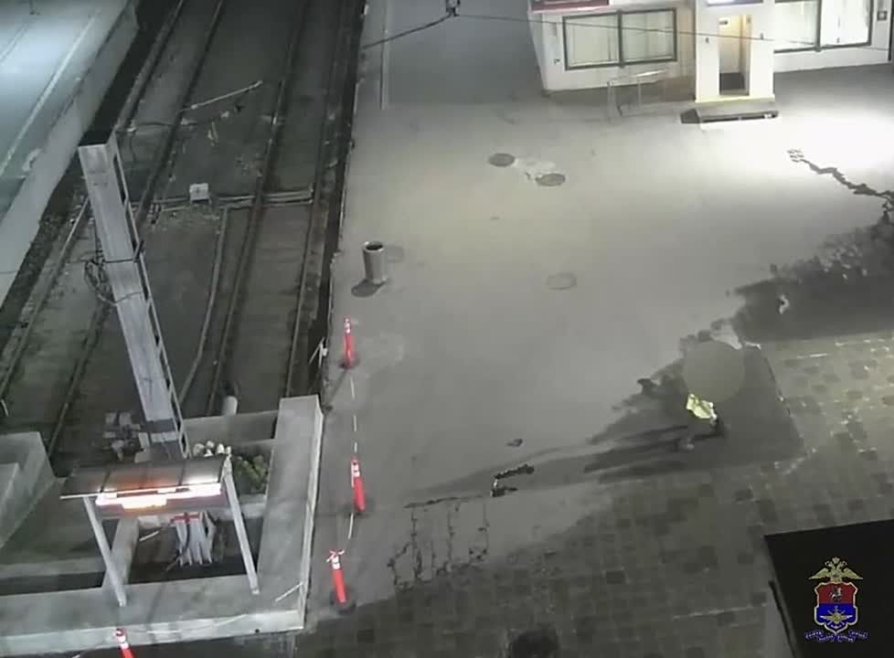 Транспортная полиция задержала иностранца за кражу денег у пассажира на Павелецком вокзале в Москве