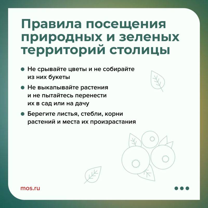 В Москве можно найти множество редких цветов В Москве можно найти множество редких цветов