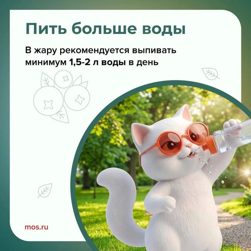 В Москве сохраняется летняя жара В Москве сохраняется летняя жара