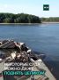 В Европе из-за аномальной жары обмелели реки: судоходство сильно затруднено.