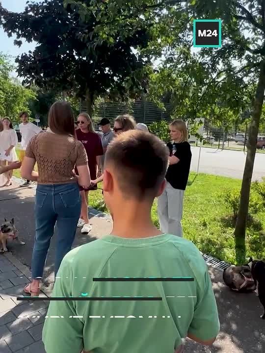Москвичи спасли щенков, погибавших в запертой машине на жаре: хозяйкой оказалась заводчица, у которой сразу несколько аккаунтов на «Авито» и других сервисах