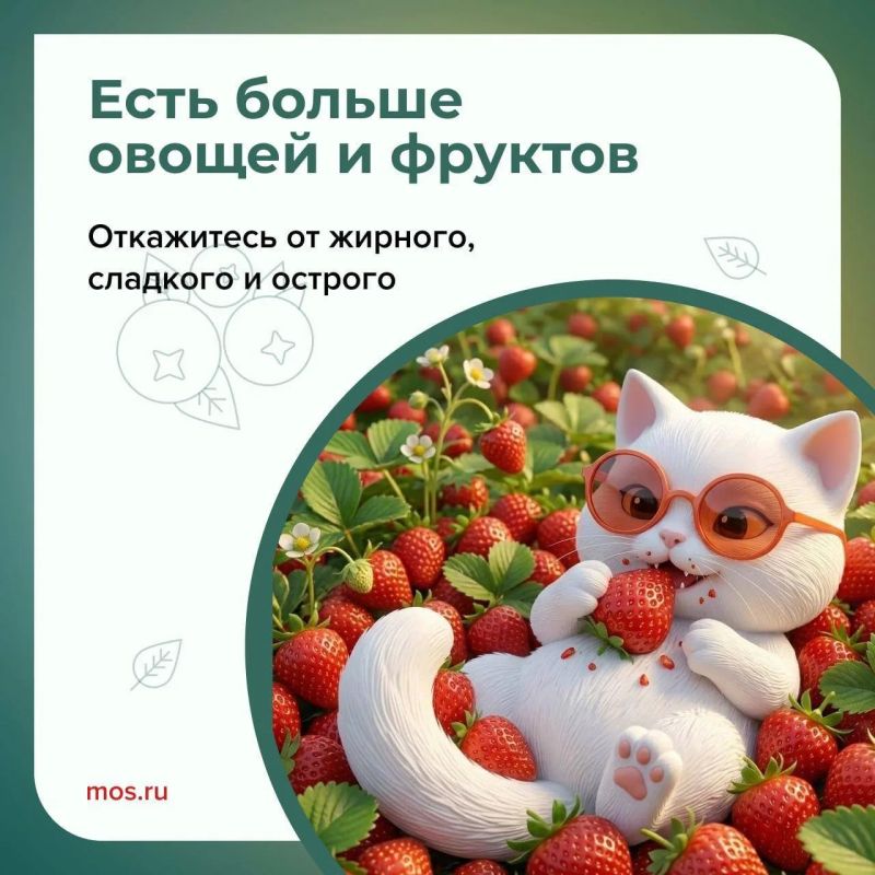 В Москве сохраняется летняя жара В Москве сохраняется летняя жара