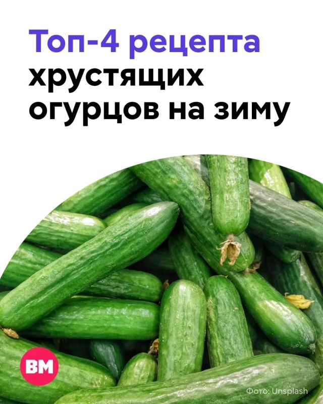 Аромат соленых или маринованных огурчиков способен вернуть ощущение лета даже в зимний день