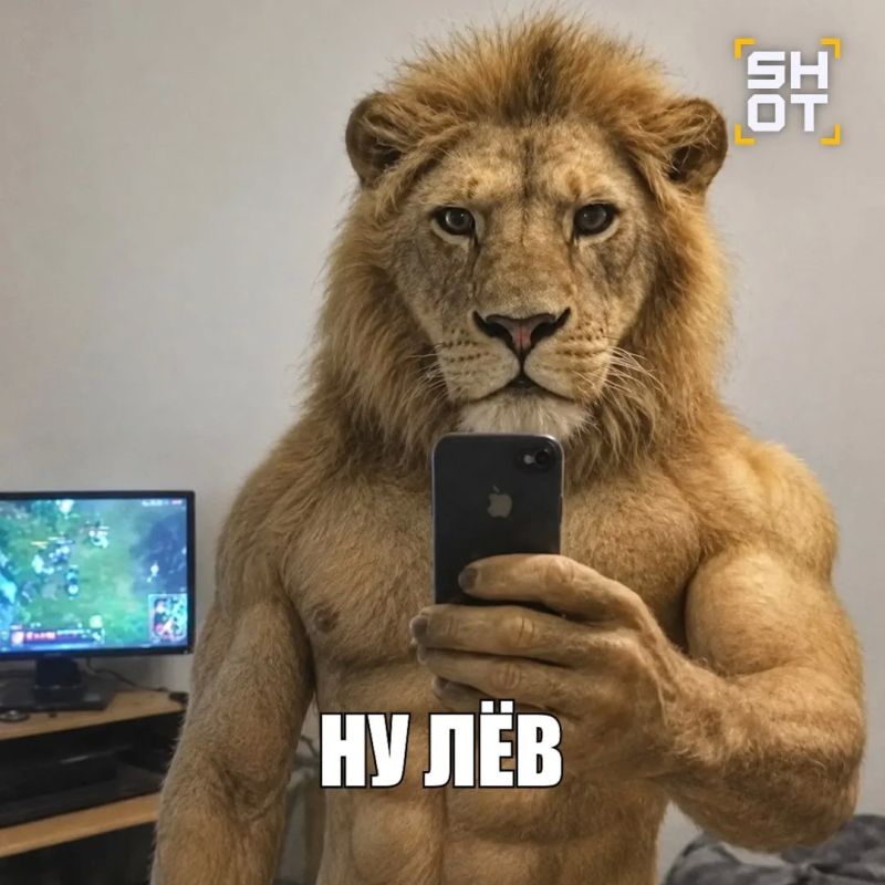 Имя Лев выбилось в тройку лидеров по популярности