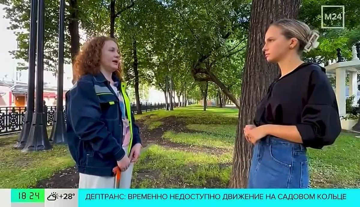 В Москве продолжается сезонный мониторинг деревьев
