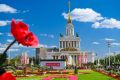 Гребешки или пирог с неркой? Удмуртские перепечи или котлетка овтонь лапат? Выбирать не придется, ведь все это и многое другое можно будет попробовать на фестивале «Вкусы России»