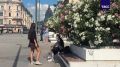 Сегодня в Москве температура воздуха прогреется до +30-32°C