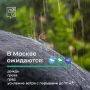 В Москве непогода. По прогнозам синоптиков, в ближайшие часы и до конца 7 августа в отдельных районах столицы ожидаются осадки и усиление ветра