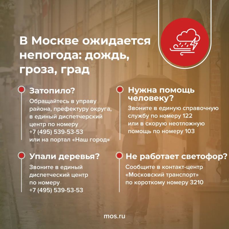 Дожди и грозы ожидаются в Москве сегодня и завтра