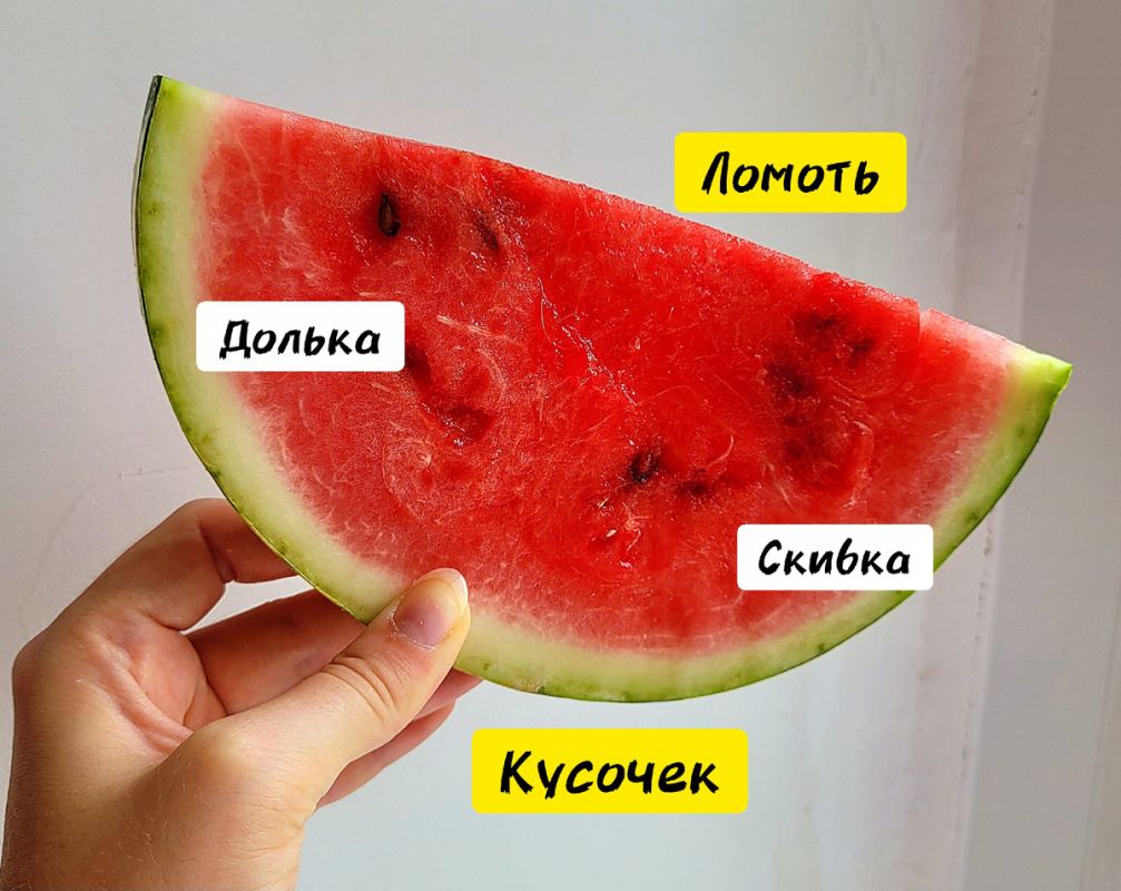 Что скрывает сладкий арбуз: от дольки до ослиного огурца