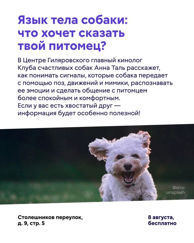 Куда сходить в Москве в эти выходные? Куда сходить в Москве в эти выходные?
