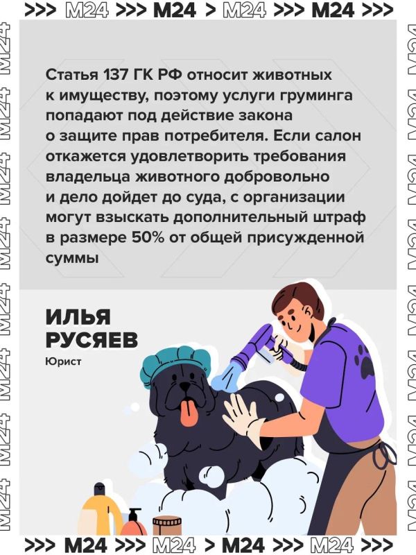 После груминга в московском салоне погибла собака После груминга в московском салоне погибла собака