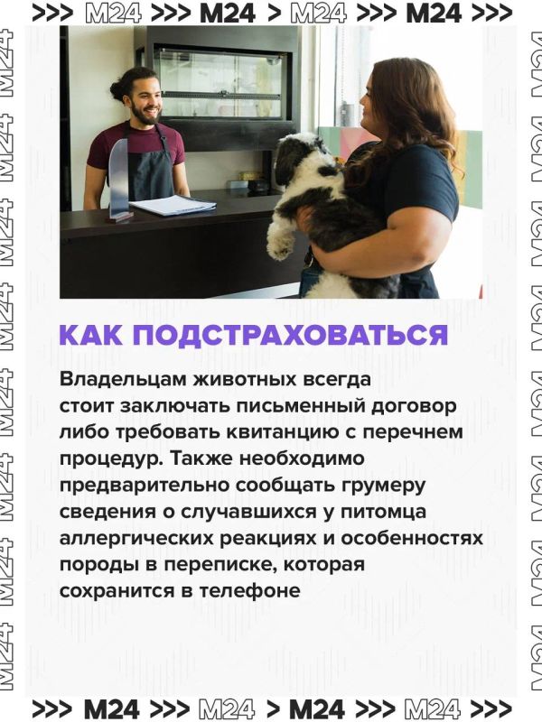 После груминга в московском салоне погибла собака После груминга в московском салоне погибла собака