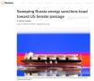 «Тарифный удар по покупателям нефти»: сенат США принял закон о вторичных санкциях против России и Ирана