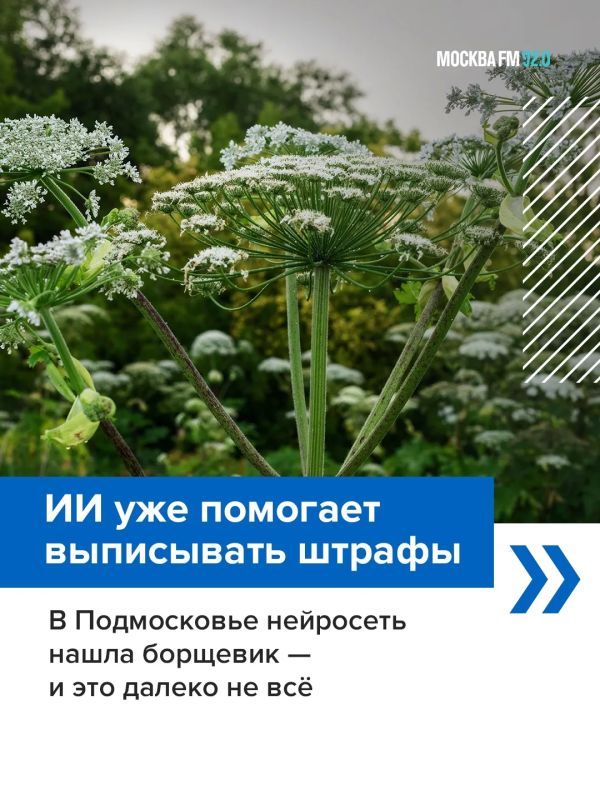 В Подмосковье впервые выписали штраф за нарушение, которое обнаружил ИИ