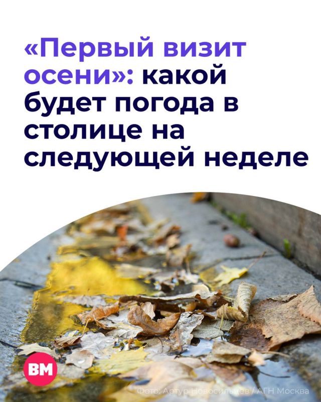 Неужели осень заглянет в Москву раньше, чем хотелось бы?