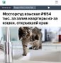 «Мосгорсуд взыскал 654 тыс рублей за залив квартиры из-за кошки, открывшей кран»: Хозяину пришлось заплатить за потоп, который устроил его питомец