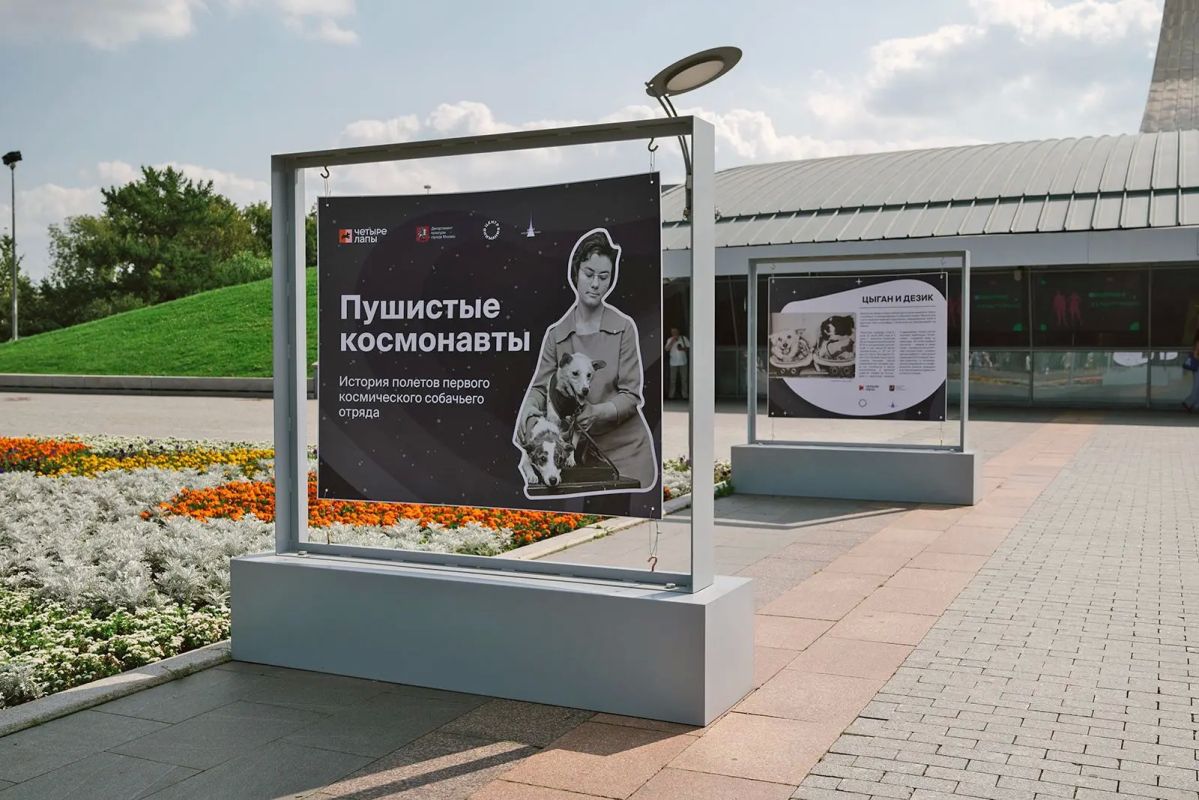 Неделя Белки и Стрелки пройдет в Музее космонавтики с 18 по 23 августа Неделя Белки и Стрелки пройдет в Музее космонавтики с 18 по 23 августа