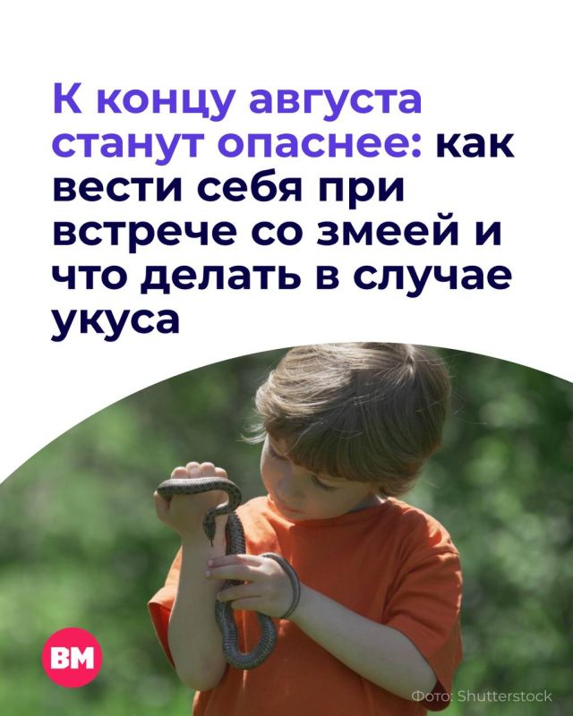 С 1 сентября российские школьники будут учиться по обновленной программе