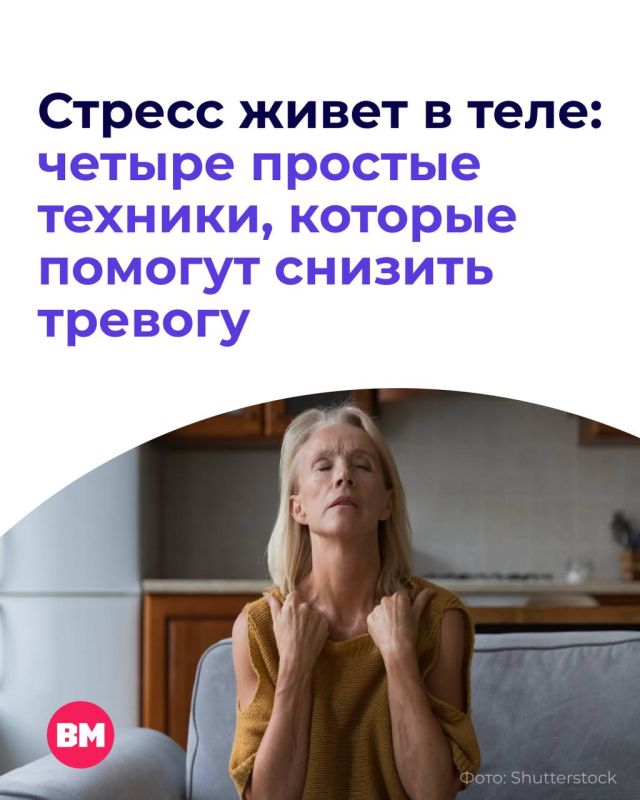 Наверное, всем знакомо чувство, когда в момент стресса неприятно сжимается челюсть