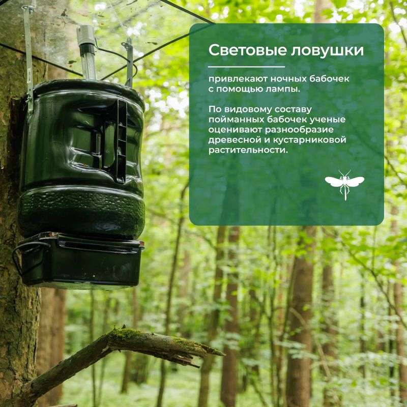 Научный улов: стрекоза, муравей и все-все-все Научный улов: стрекоза, муравей и все-все-все
