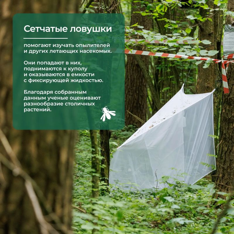 Научный улов: стрекоза, муравей и все-все-все Научный улов: стрекоза, муравей и все-все-все