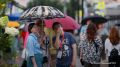Самым дождливым днем в Московском регионе на неделе станет вторник, сообщила ТАСС ведущий сотрудник Гидрометцентра РФ Марина Макарова