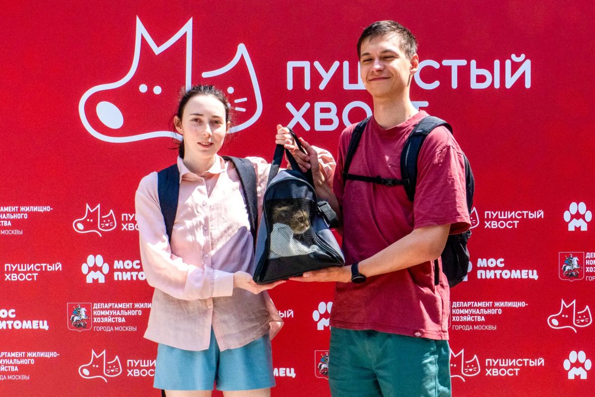 Выставка-пристройство животных «Пушистый хвост» пройдёт в Измайловском парке Выставка-пристройство животных «Пушистый хвост» пройдёт в Измайловском парке