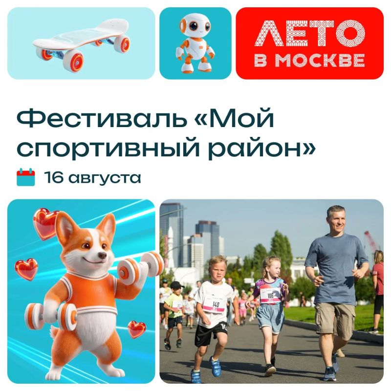 Совсем скоро Измайловский парк превратится в большую спортивную площадку