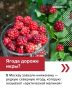 Её прозвали официальной ягодой Патриков