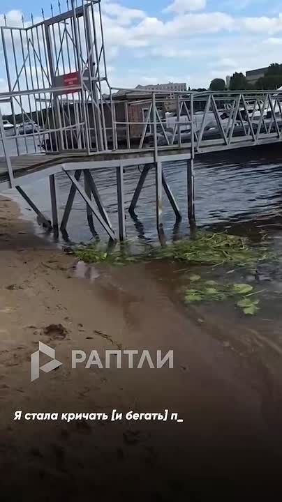 Мужчина, спасший ребёнка на пляже в Петербурге после удара током, получил 23-ю премию имени Тиграна Кеосаяна
