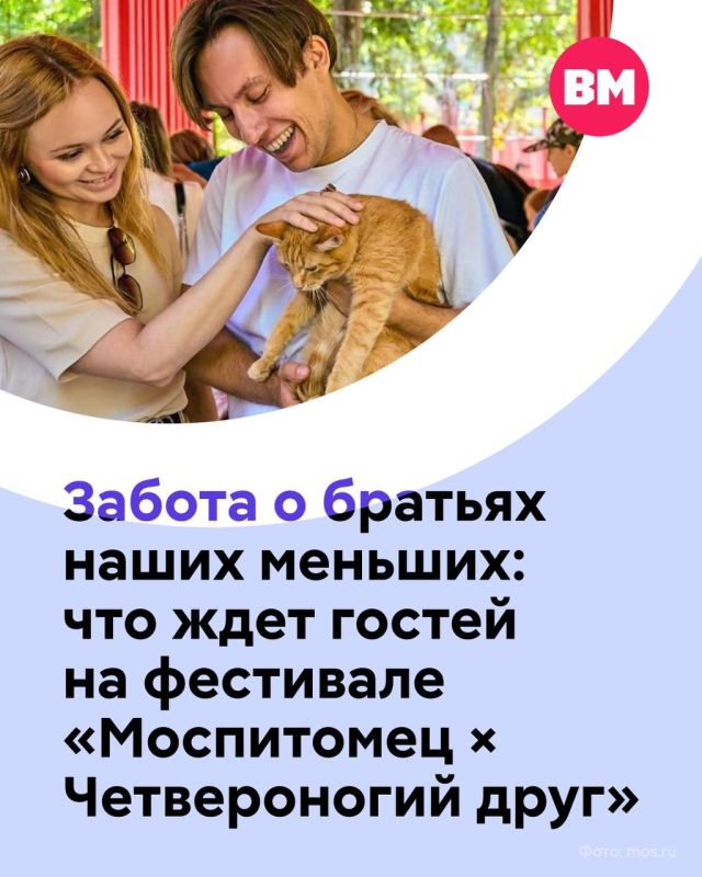 Город продолжает помогать «хвостикам» найти свой дом: с 27 по 30 августа на Тверском бульваре пройдет фестиваль «Моспитомец Четвероногий друг»
