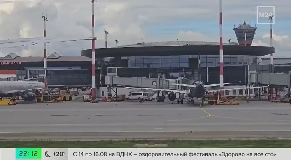 Девушки на каблуках, которые пытались догнать самолёт в Шереметьево, опоздали на рейс в Бодрум