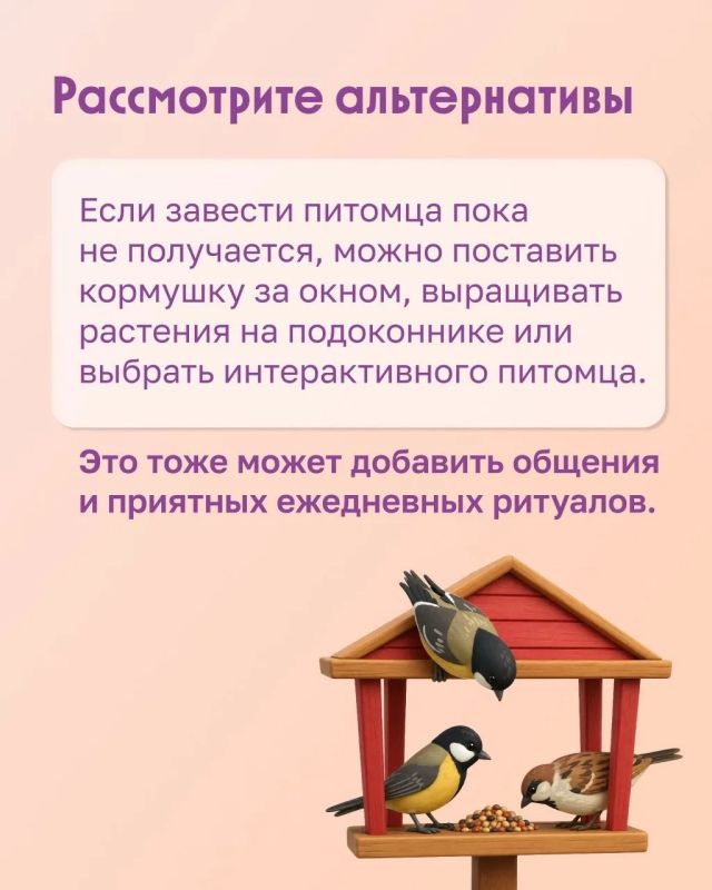 Можно ли пожилому человеку завести питомца? Можно ли пожилому человеку завести питомца?