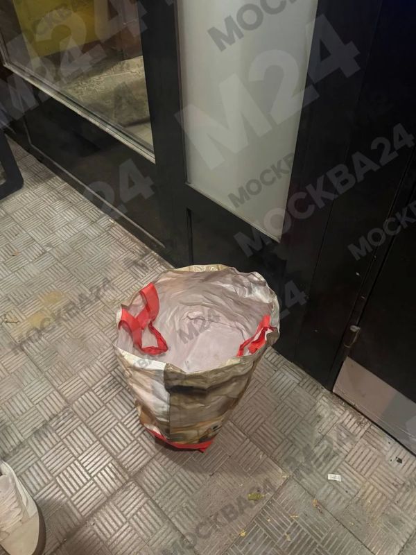 В Москве щенка бросили прямо у подъезда В Москве щенка бросили прямо у подъезда