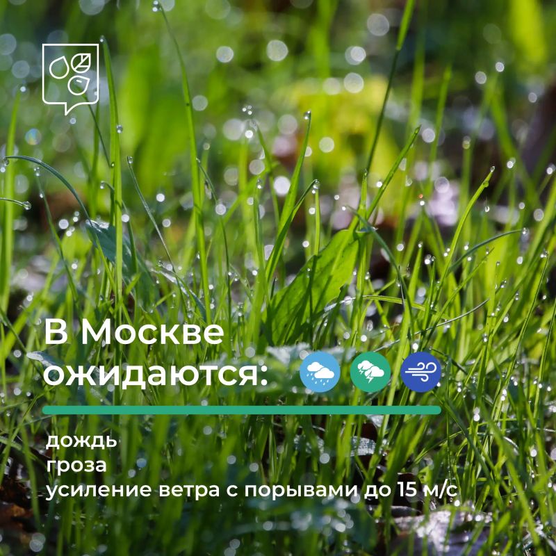 В Москве непогода. По прогнозам синоптиков, в ближайшие часы и до конца дня 12 августа в отдельных районах столицы ожидаются осадки и усиление ветра